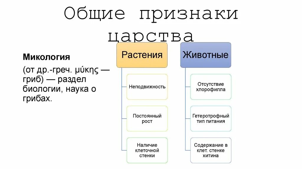 Признаки царства 5 класс биология. Признаки Царств. Отличительные признаки царства животных. Основные признаки Царств. Отличительные особенности Царств.