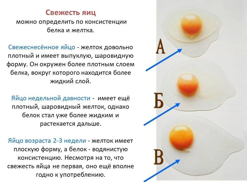 Свежесть яиц. Как определить свяжусь яиц. Как определить свежесть яйца в воде. Способы определения свежести яиц.