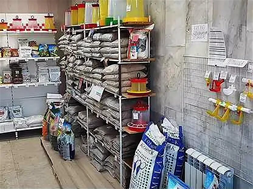 Зоотовары для животных. Подиумы ваз 2110 20+20+рупор. Кормоизмельчитель колос 3 в 1. Чистюля наполнитель для кошачьего туалета. Переноска для собак trixie104x75x73.