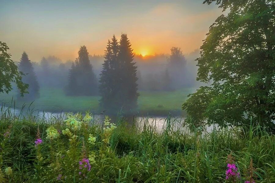 Там над рекою туман песня. Утренний пейзаж. Пейзаж туман. Рассвет на реке. Художественная фотография пейзаж.