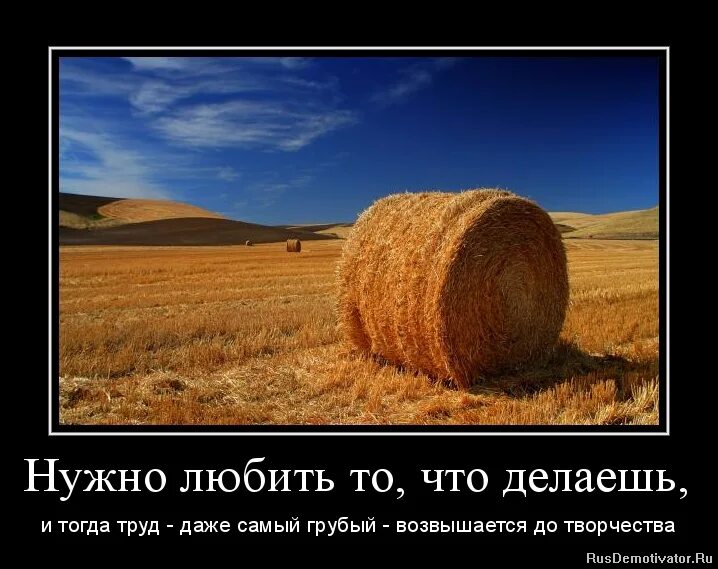 Работу надо любить. Мотиватор и демотиватор. демотиваторы про работу. смешной мотиватор. приколы про работу.