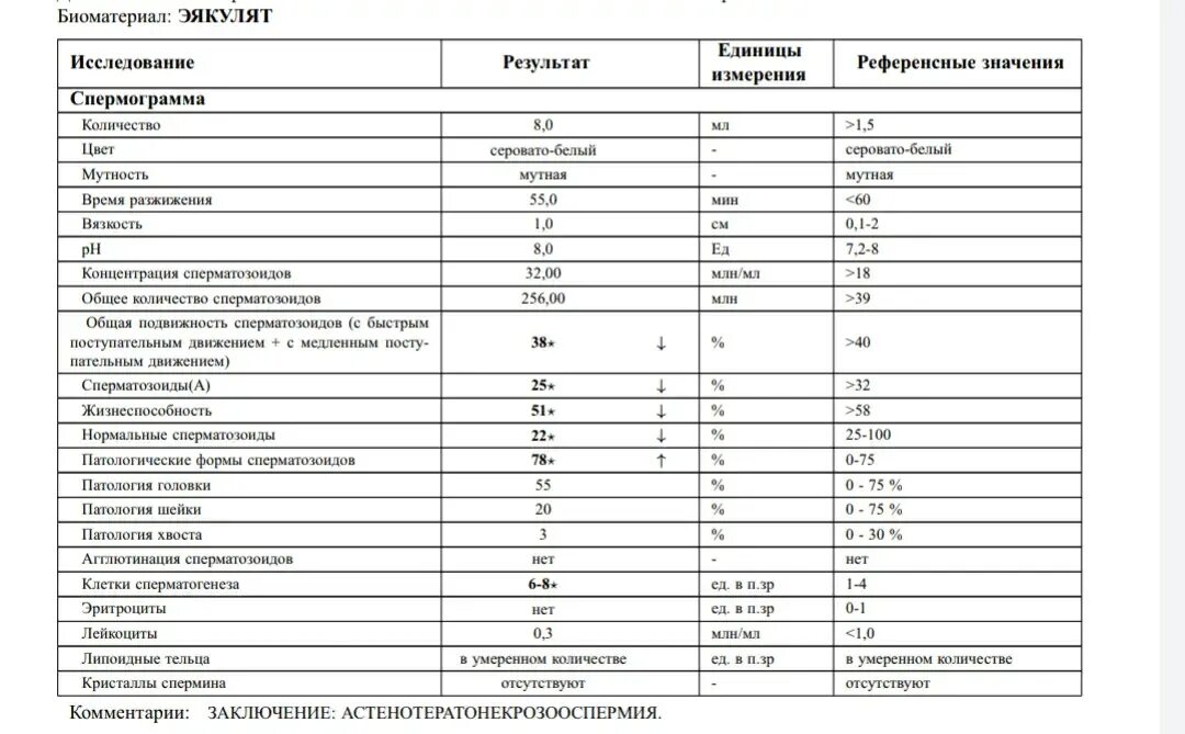 Спермограмма в санкт. Спермограмма. пример результата спермограммы. бланк спермограммы. спермограмма результаты.