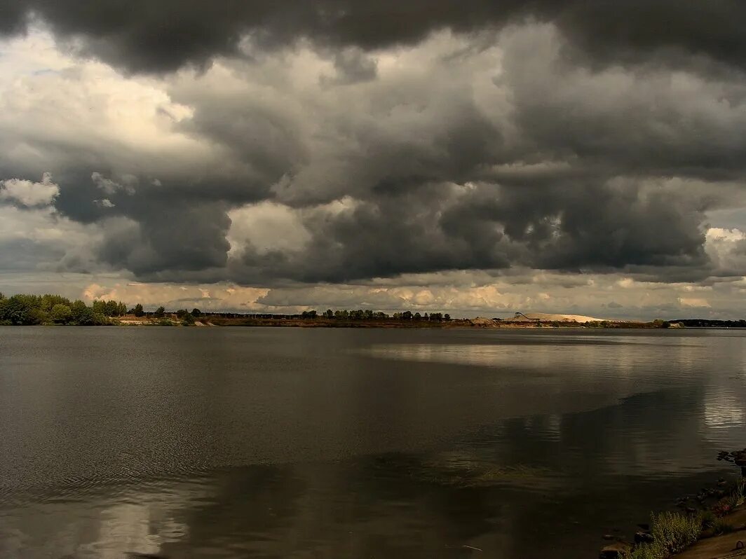 Деревья в тумане. Рассвет ранней весной. Пасмурный пейзаж. Дождь в тайге. Темная река.