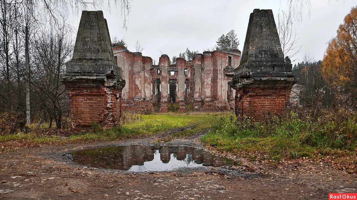 Усадьба в петровском. Усадьба Петровское-Княжищево (Петровское-Алабино) Демидовых.. Усадьба Петровское Алабино. Усадьба Демидовых Алабино. Петровское Княжищево Алабино усадьба.