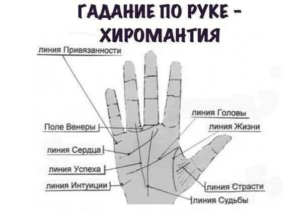 Ладонь значение