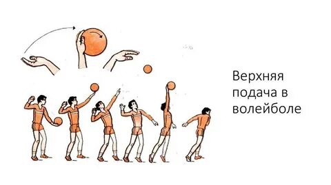 Сколько передач в волейболе