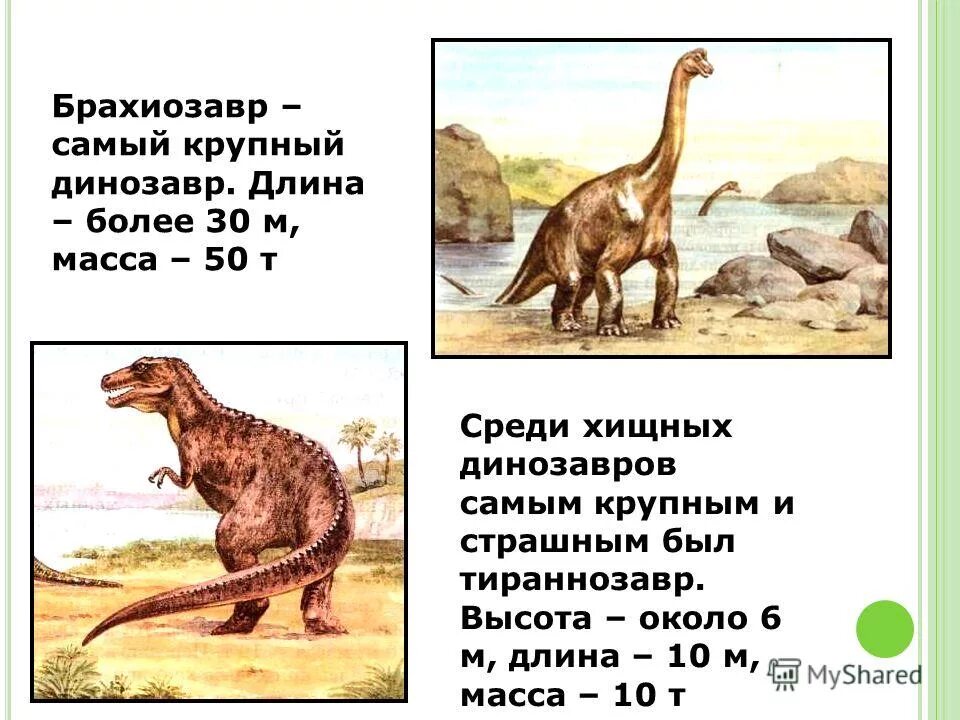 Динозавры для детей с названиями. От древних пресмыкающихся произошли. Абелизавриды. Ископаемые динозавры. Старый динозавр.