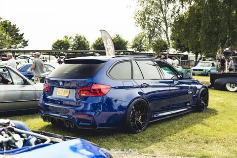 F 81