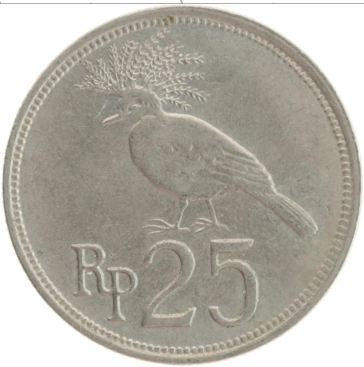 Балийский рупий к рублю на сегодня. Рупий монета 1971. Монета 25 рупий. Индонезия 25 рупий 1996 год. 25 Азия монеты.