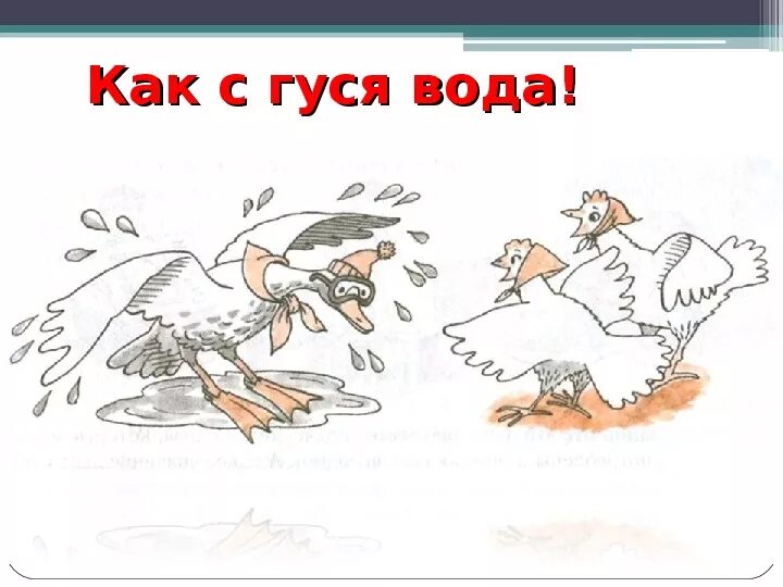 Ничего не попишешь фразеологизм. Как с гуся вода фразеологизм. Как с гуся вода. Иллюстрация к фразеологизму. Фразеологизмы рисунки.