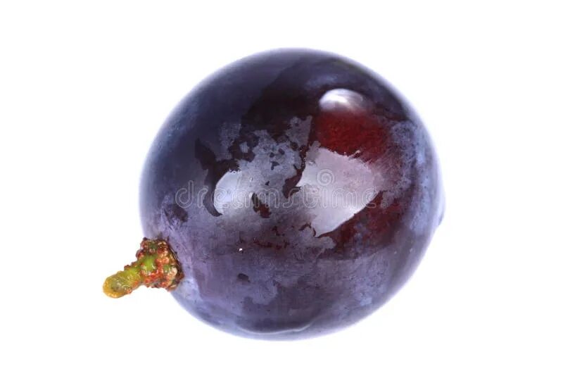 Grape 1