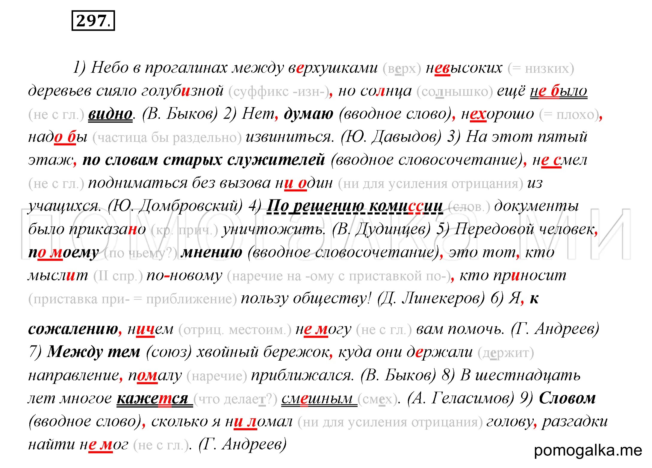Небо в прогалинах между верхушками невысоких деревьев