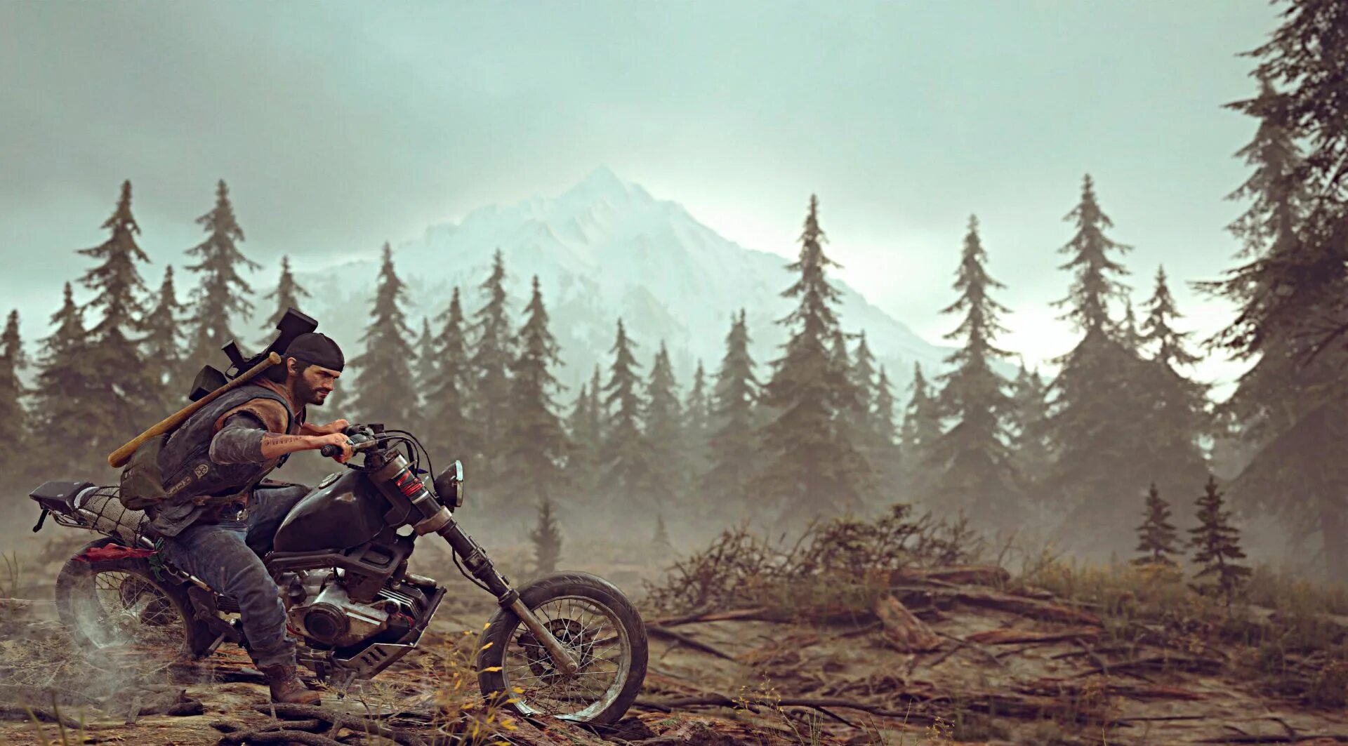 Days gone. Days gone Роуч. Days gone 2. Дай гоу