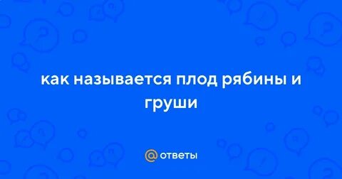 Плод рябины называется