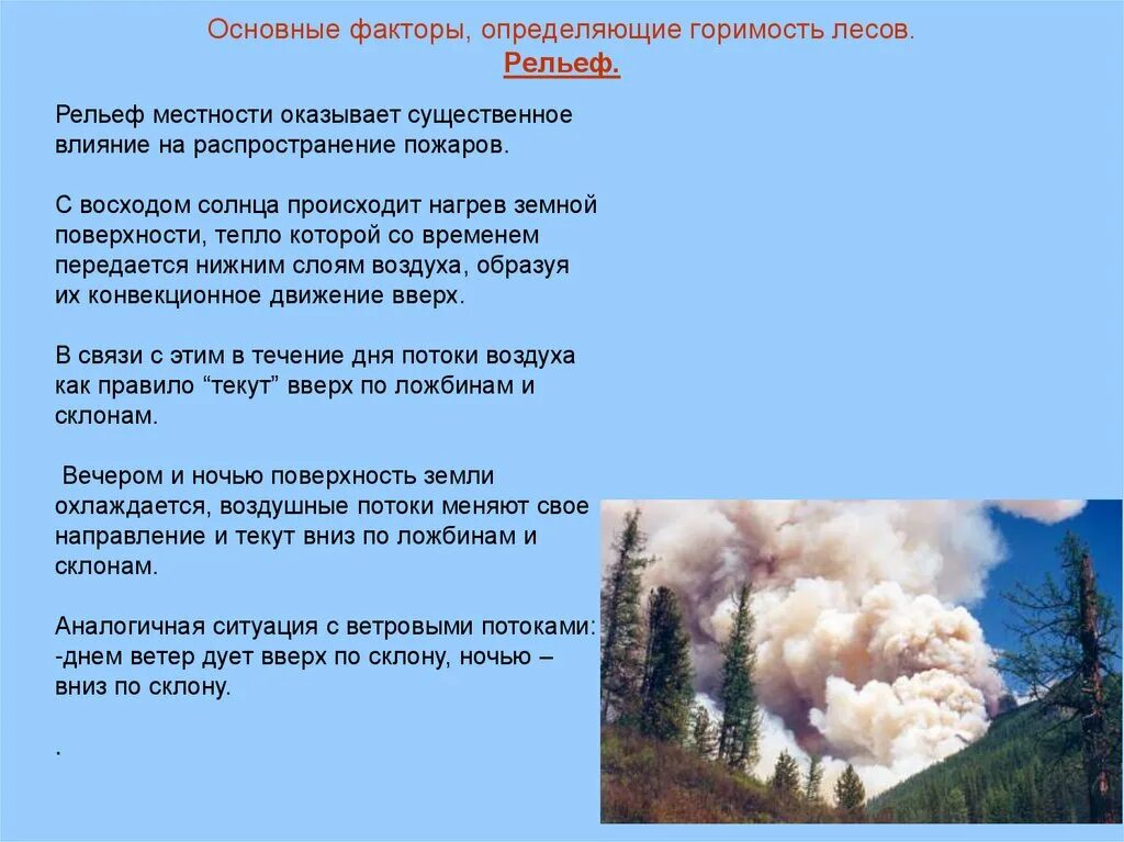 Пожар в лесу какой фактор. Лесные пожары главное факторы. Горение и горимость лесов. Горимость лесов проанализировать. Шкала горимости лесов.