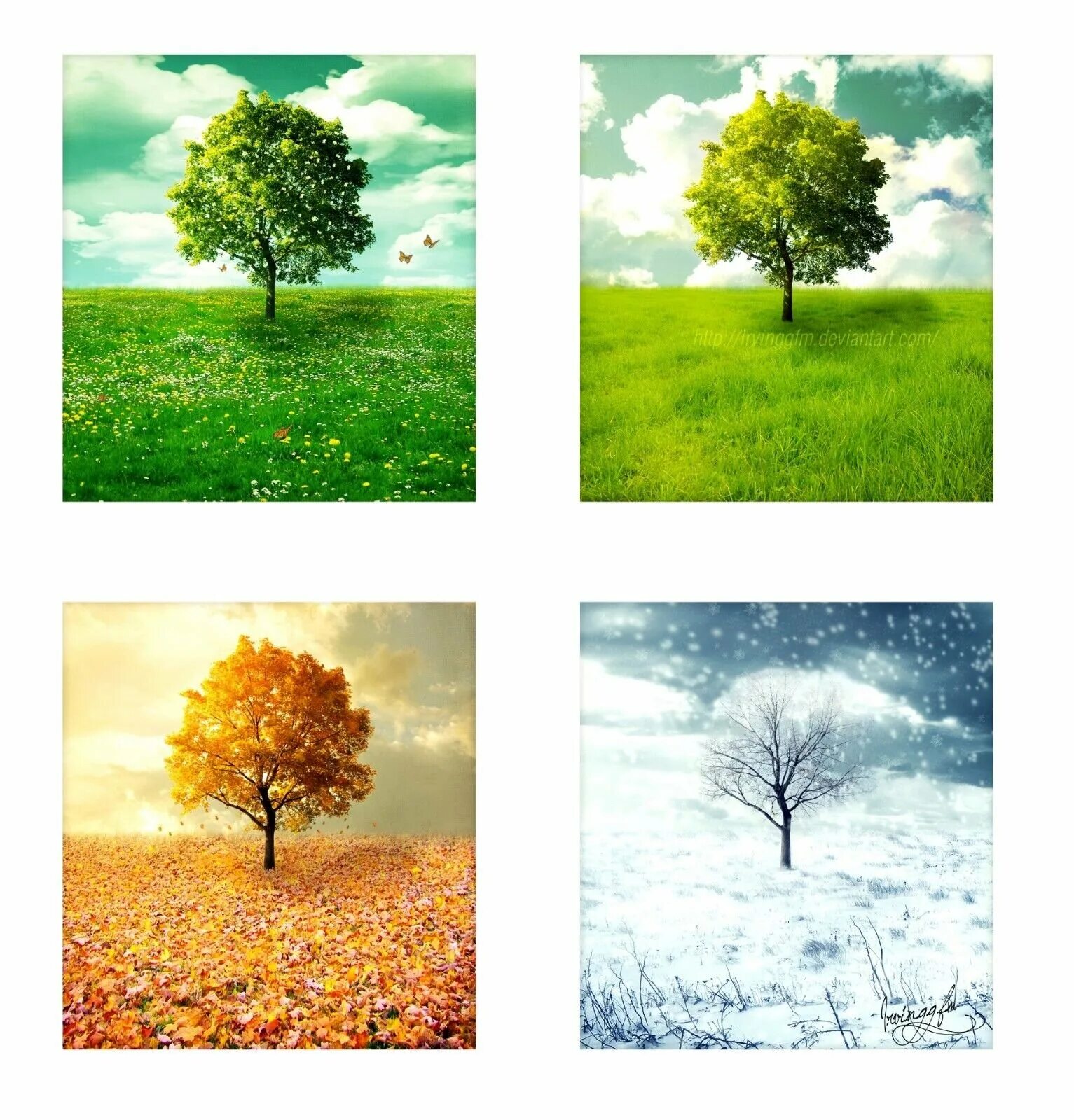 Seasons of the year spring. Лето осень зима.