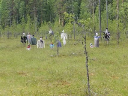 Погода в нижней омре троицко печорского