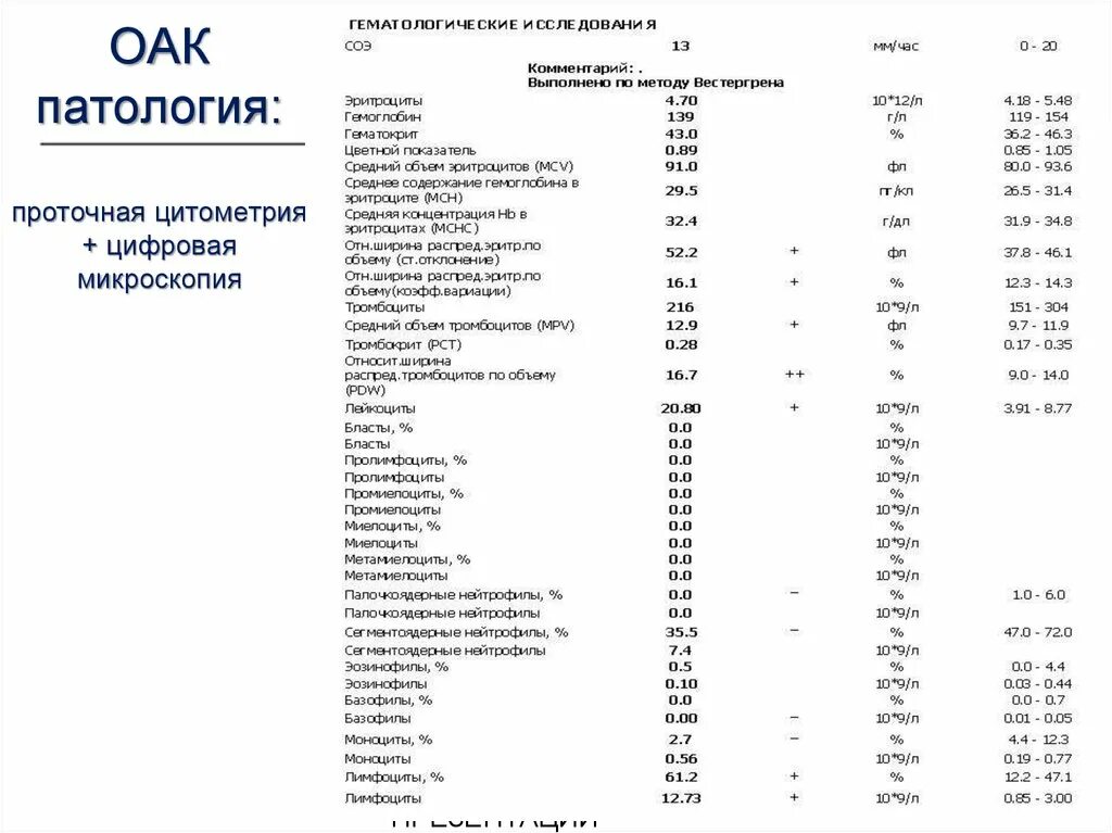 Гематология нормы анализа крови. Гематологическое исследование ОАК. Палочкоядерные нейтрофилы вид. Общий анализ крови гематология норма.