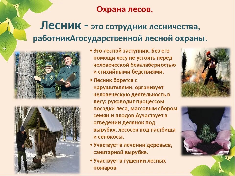 Сидеть слово с чередующейся согласной. Профессия лесника для дошкольников презентация. Лесничий это для детей. Лесник для дошкольников. Слова с чередующимися согласными.