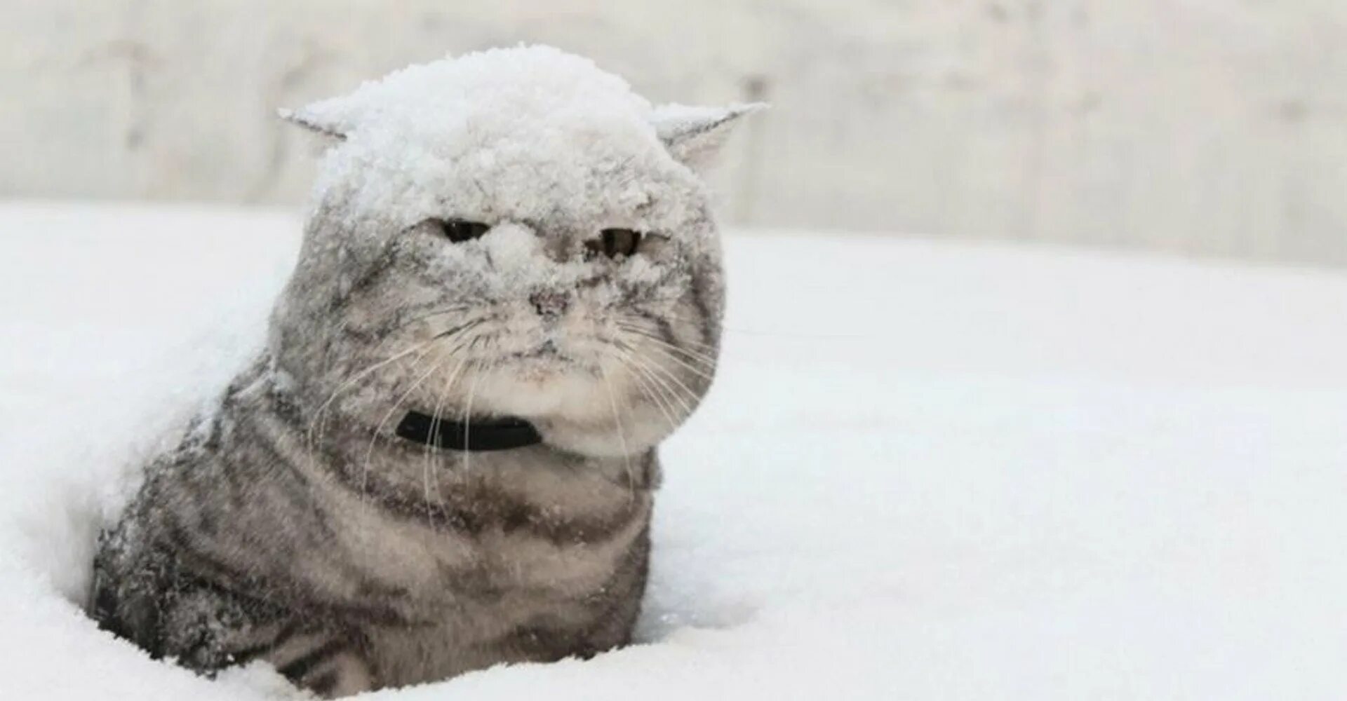 И снова зима в апреле. Опять апрель. Опять снег картинки. Опять апрель. Опять метель какого.