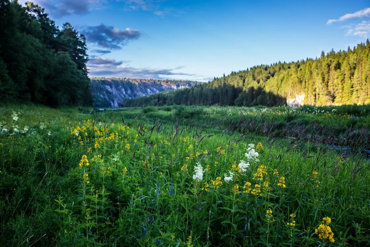 Каким будет лето в пермском крае. Природа Урала Пермский край. Урал Пермь природа. Живописный Пермский край. Майская гора Пермский край.