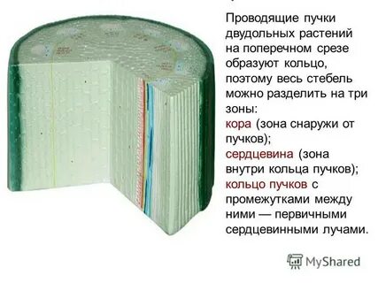 Закрытые проводящие