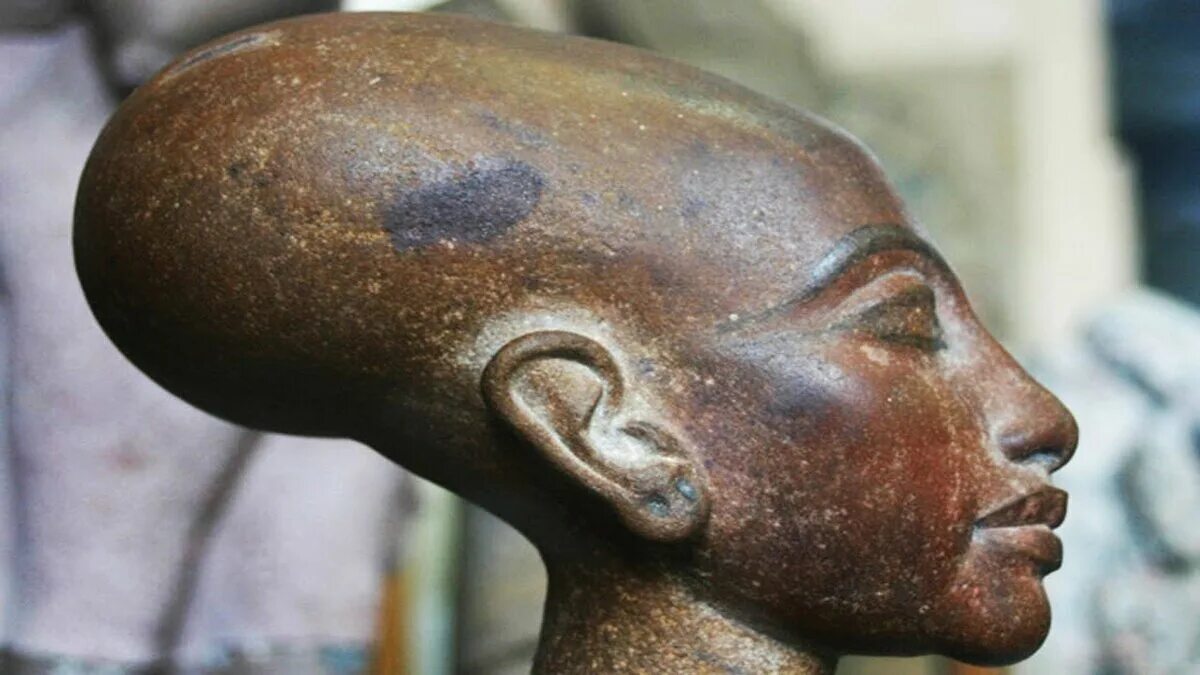 Люди с длинной головой. Удлиненный череп Нефертити. Форма головы Нефертити. Вытянутые черепа Паракас.