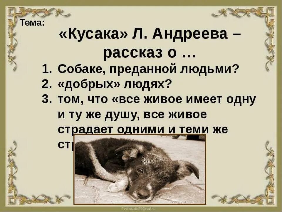 Произведение кусака 7 класс. Л.Н Андреева кусака. Рассказ л н Андреев кусака. Рассказ л.Андреева "кусака". План рассказа л.Андреева кусака.