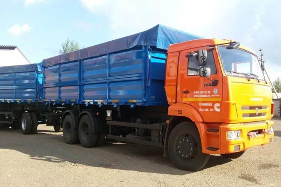 Камаз зерновоз 5321. Камаз 65115 зерновоз. Сколько камазе зерновозе. Сколько камазе зерновозе. Камаз 65117 бортовой с прицепом.