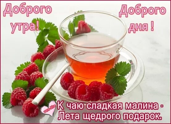 Малиновое лето текст. Малина ремонтантная бабье лето-2. Пословицы и поговорки о малине. Пословицы и поговорки про ягоды малину. Лето лето лето яркое малиновое солнце.