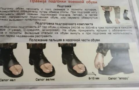 Ноги 6 букв