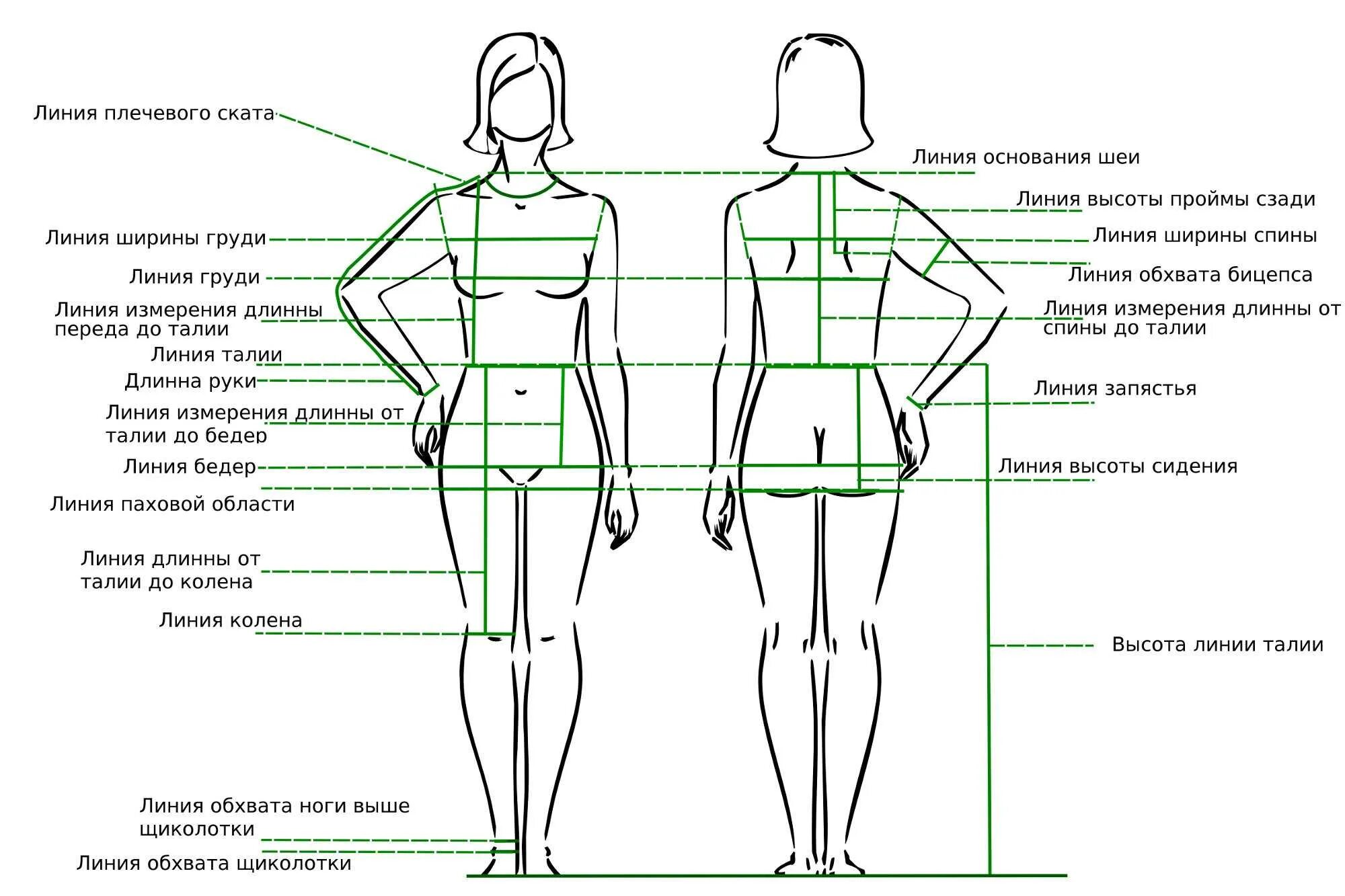 Ширину фигуры. Таблица снятия мерок для шитья. Схема для снятия мерок с фигуры человека. Схема снятия мерок с женской фигуры для пошива. Инструкция по снятию мерок с женской фигуры.