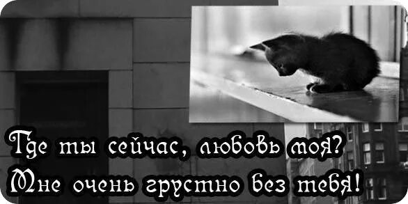 Утро без тебя было не было. Мне очень грустно. Мне грустно без тебя. Очень грустно без тебя. Мне плохо и грустно без тебя.