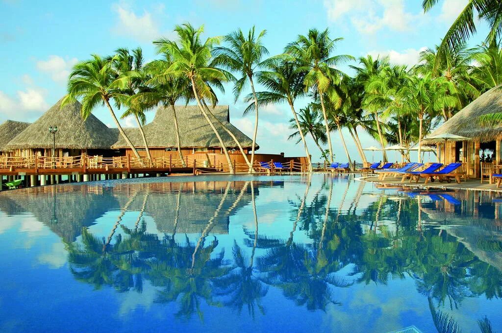Экзотических путешествий. Vilu Reef Beach and Spa Resort. Вилу риф Мальдивы. Экзотические места. Экзотические курорты.