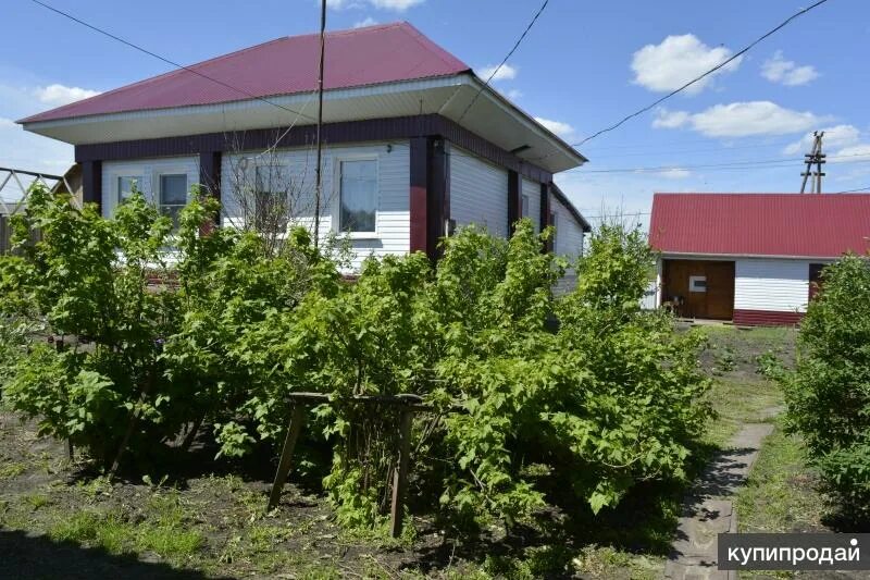 Купить дом в залесово. Дача Залесово. Залесово улица Партизанская. Село Залесово улица Совхозная. Ул. Лесная 28 с Залесово.