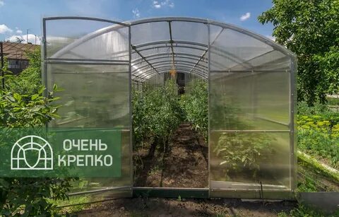 Теплица сказка отзывы