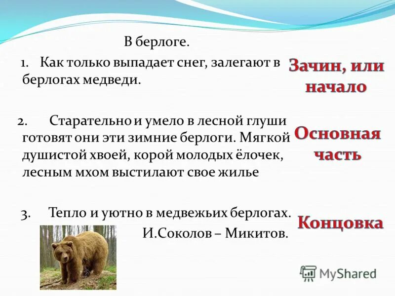 медвежья берлога какое прилагательное