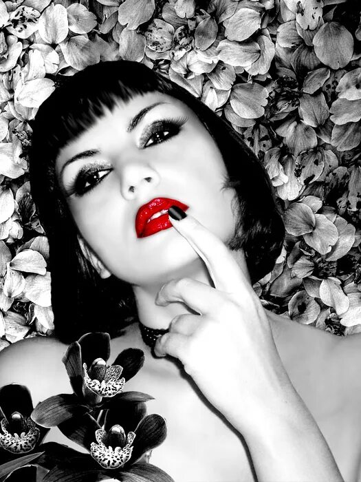 Фаленопсис bohemian. Orchid записи. Orchid записи. Фаленопсис алтея. Орхидея меняющая окрас.