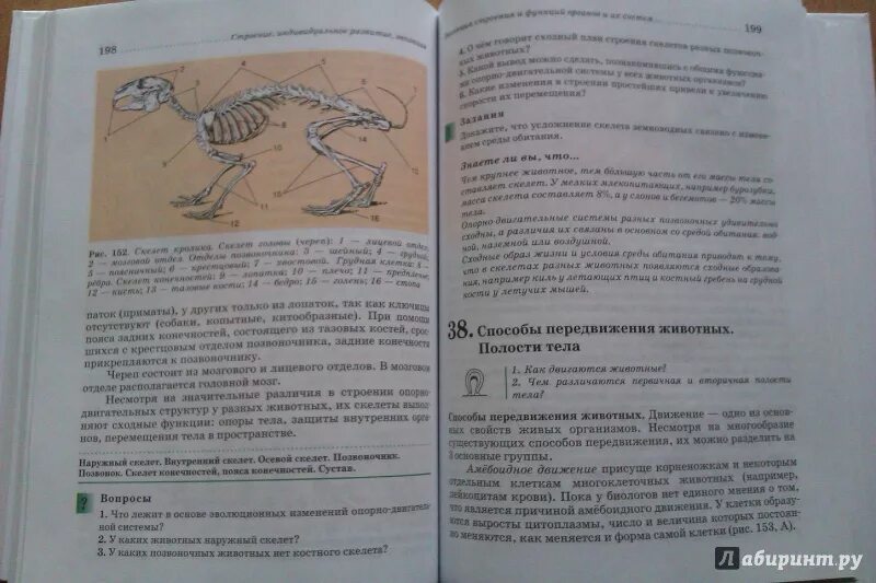 Латюшин в.в., Шапкин в.а. «биология. Животные». Биология животных 7 класс латюшин. Биология. 7 Класс. Учебник. Биология 7 класс информация