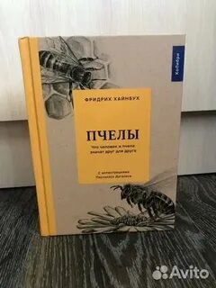 Пчелы красноярск