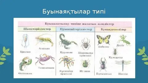 Бастық хатшыны секс көруге мәжбүрлеген.