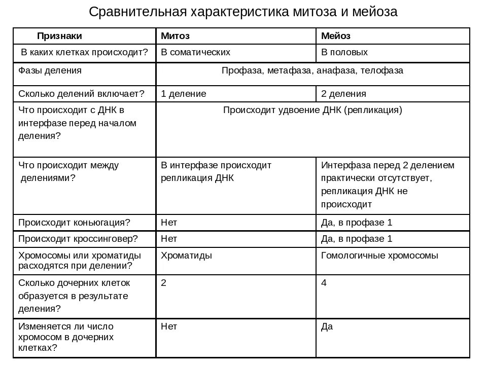 Основные отличия мейоза от митоза 9 класс. Биология 10 класс таблица сравнения митоза и мейоза. Сходства и отличия митоза и мейоза таблица. Сравнительная характеристика митоза и мейоза. Сравнение характеристик митоза и мейоза.