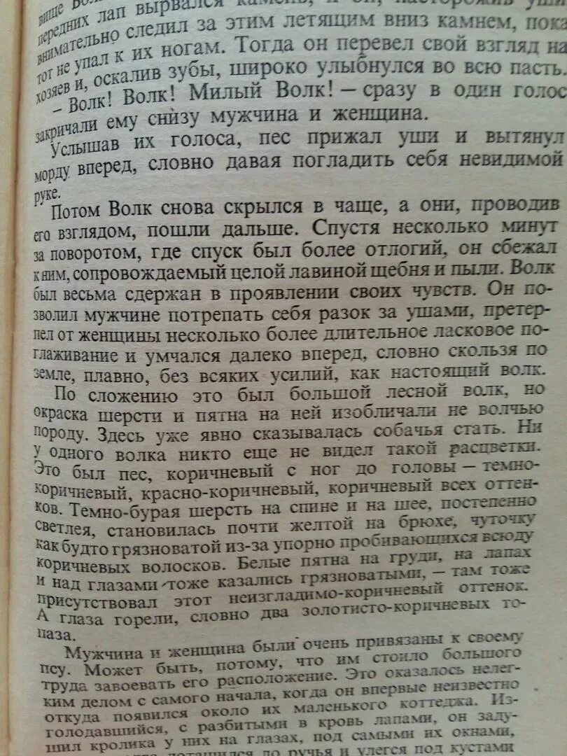 Бурый волк Джек Лондон как озаглавить части. Бурый волк Лондон первое издание. Джек Лондон бурый волк сочинение. План рассказа бурый волк Джек Лондон. Лондон бурый волк читать