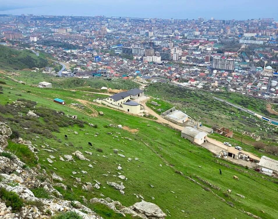 Гора Тарки-Тау и смотровая площадка. Тарки Тау Махачкала. Площадки Тарки-Тау.. Обзорная площадка на горе Тарки-Тау.