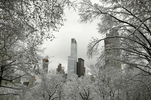 Snowing new
