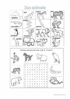 Animals exercises