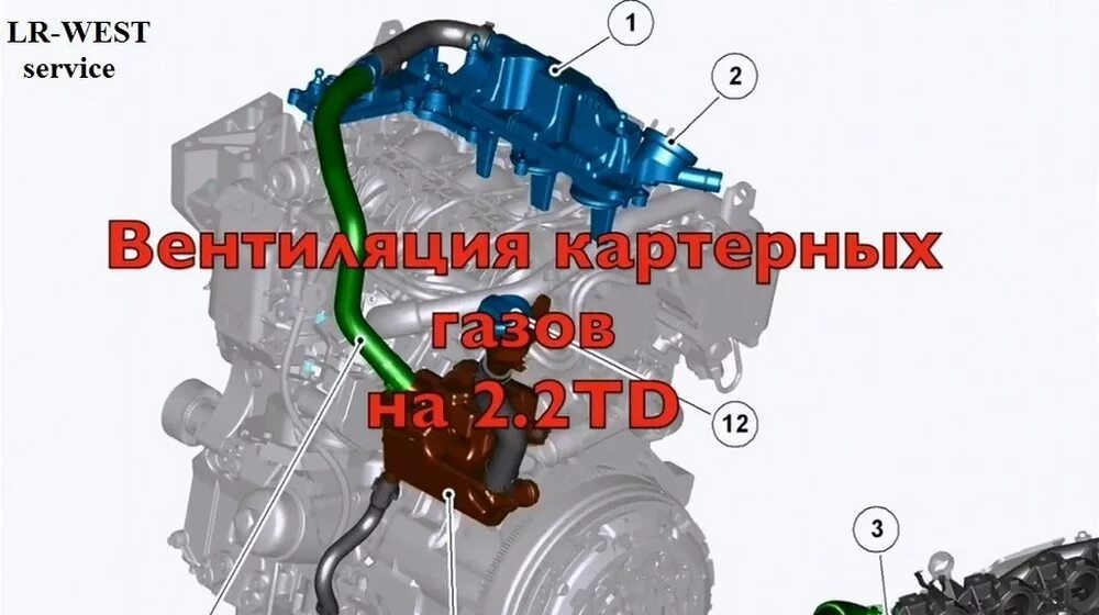 Маслоотделитель фрилендер 2 дизель 2. Клапан вентиляции картерных газов фрилендер 2 2. 2 дизель. Двигатель 21126 вентиляция картера. Картерные газы фрилендер 2.