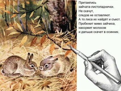 Листопадничек от лица зайца