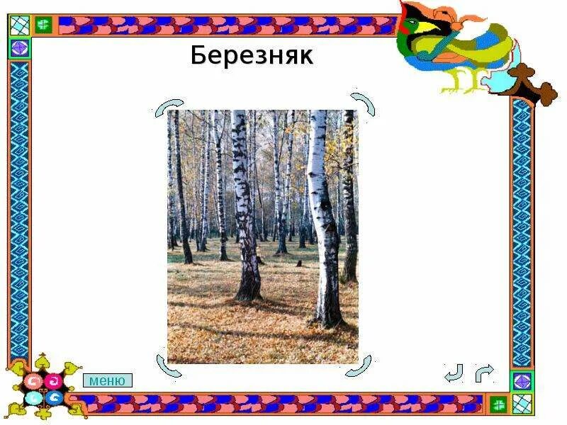 Слово березняку. Однокоренные слова к слову берёза 2 класс. Проект лесные слова. Березняк значение слова. Родственные слова к слову береза.