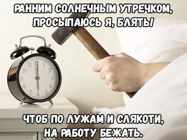 Утром как только прозвонит будильник составить план. Будильник юмор. шутки про будильник. анекдот про будильник. будильник мем.